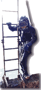 Diver with ladder